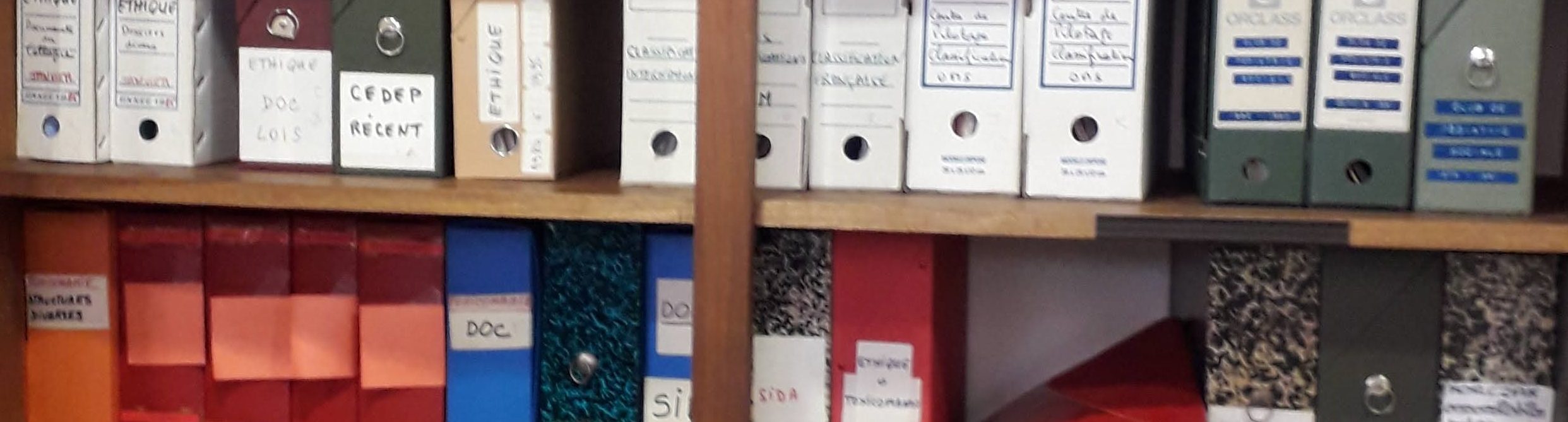 Archives, pédagogie et numérique